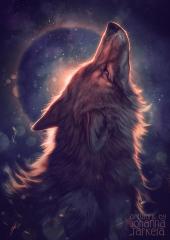 Аватар Fox231