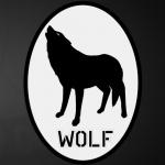 Аватар CrazyWolf