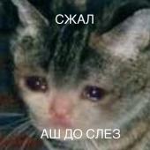 Аватар Little Man