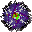 синга.gif