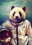 Аватар xPanda