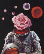 Аватар michaelshepard