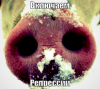 загружено.png