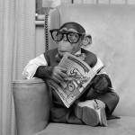 Аватар MonkeyCoder