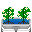 Potatoplant.png