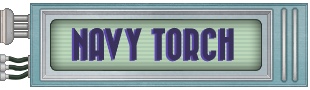 Navy Torch