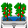 ChiliTree.png