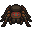 SpiderTarantula.png