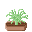CropCarrot.png