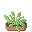 CropSpinach.png