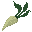 Whitebeet.png