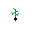Wiz seed.png