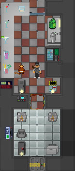 Bar.jpg