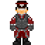 Warden