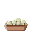 CropAfungus.png