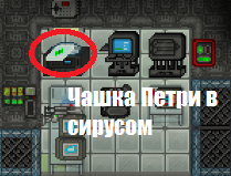 Virus6.png