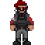 Security Officer