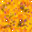 TEG.gif