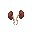 Kidneys.png