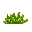 Aloeplant.png