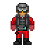 Security Officer