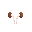 Kidneys.png